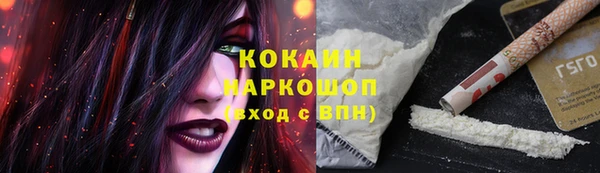 трава Гусев