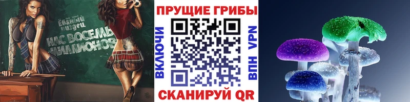 площадка Telegram  Невель  Галлюциногенные грибы ЛСД  наркотики  hydra tor 